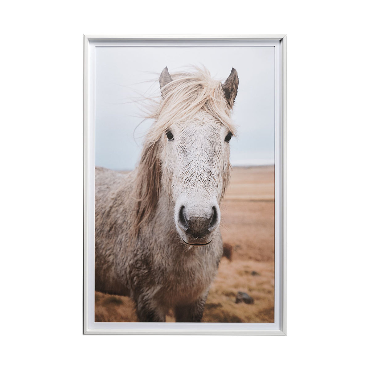 HEIDA I HORSE ART