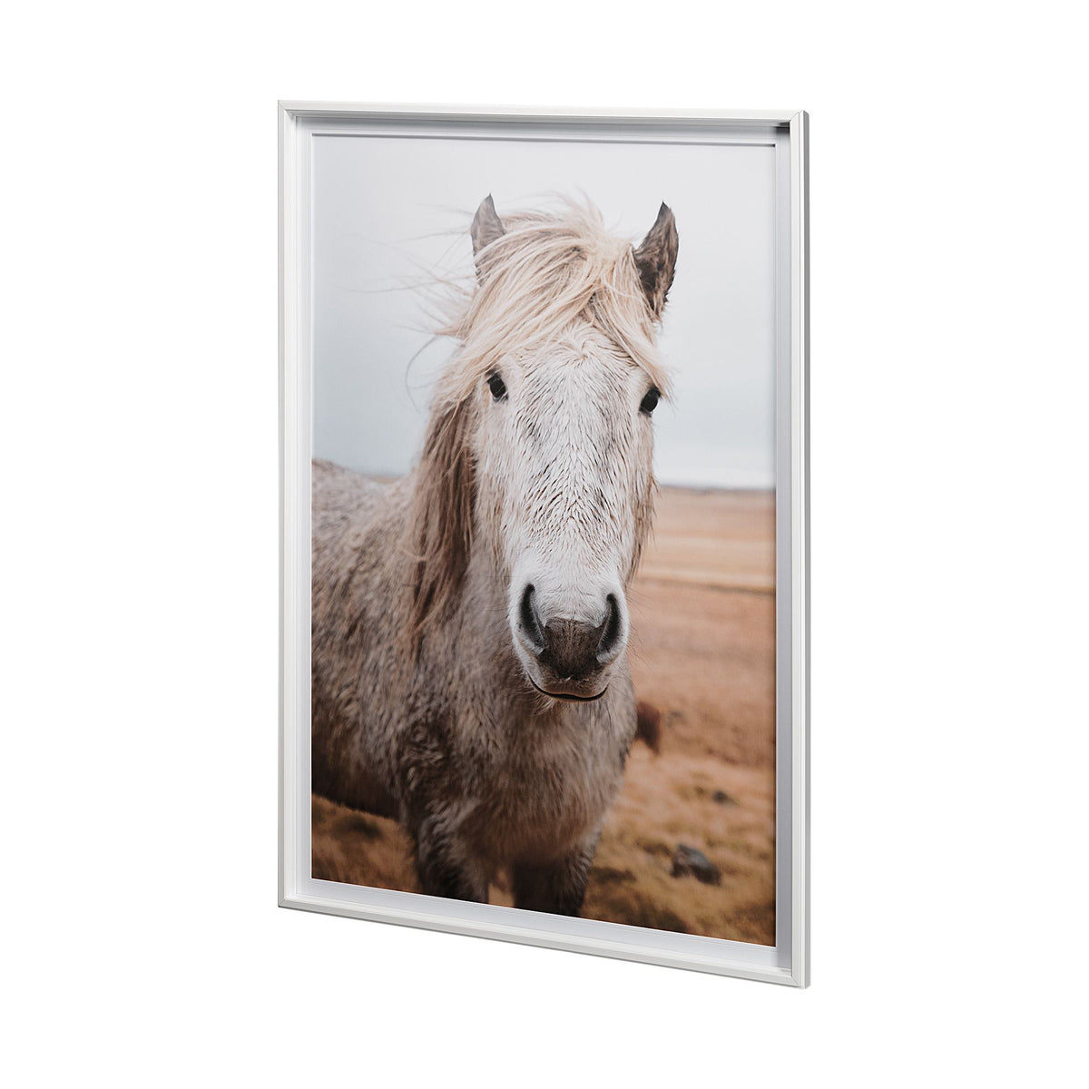 HEIDA I HORSE ART