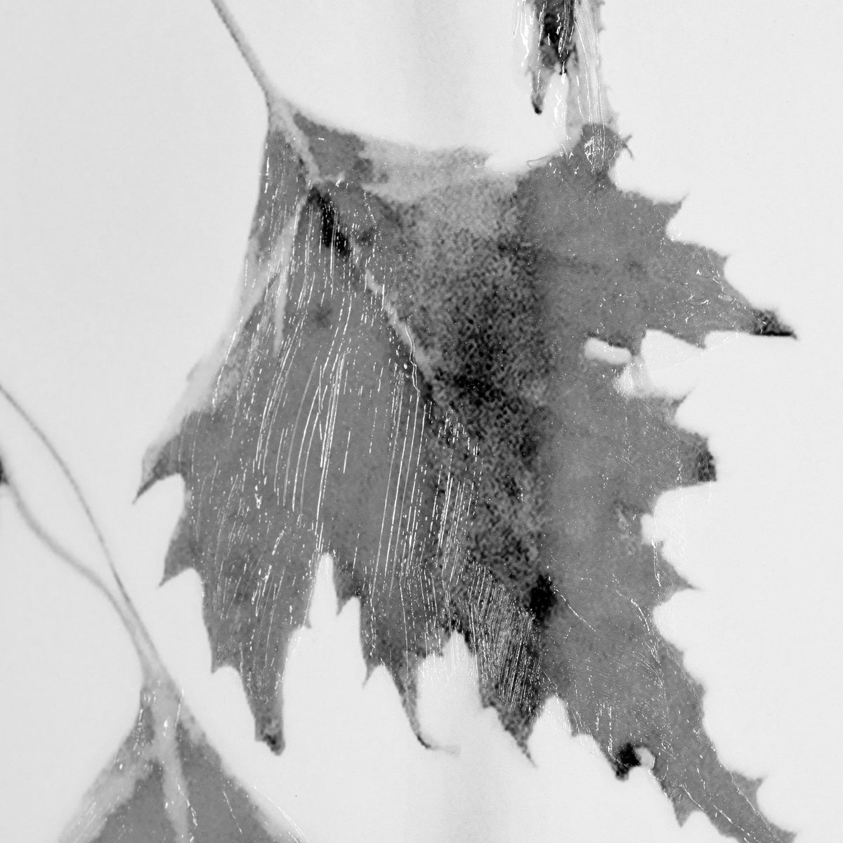 HANGING ART-1