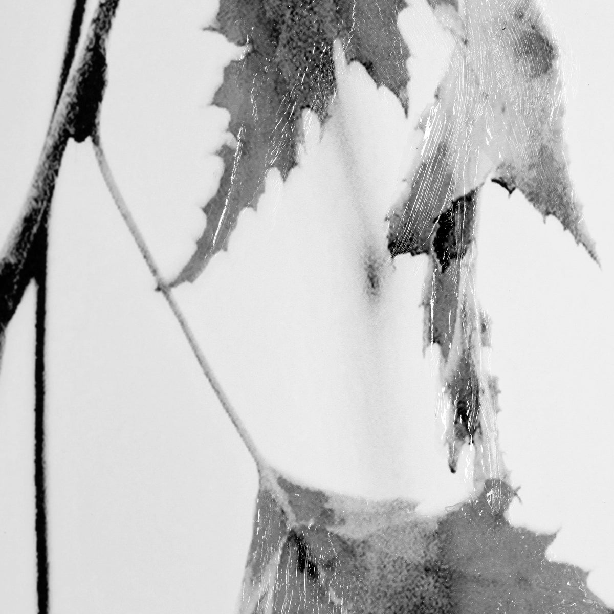 HANGING ART-1