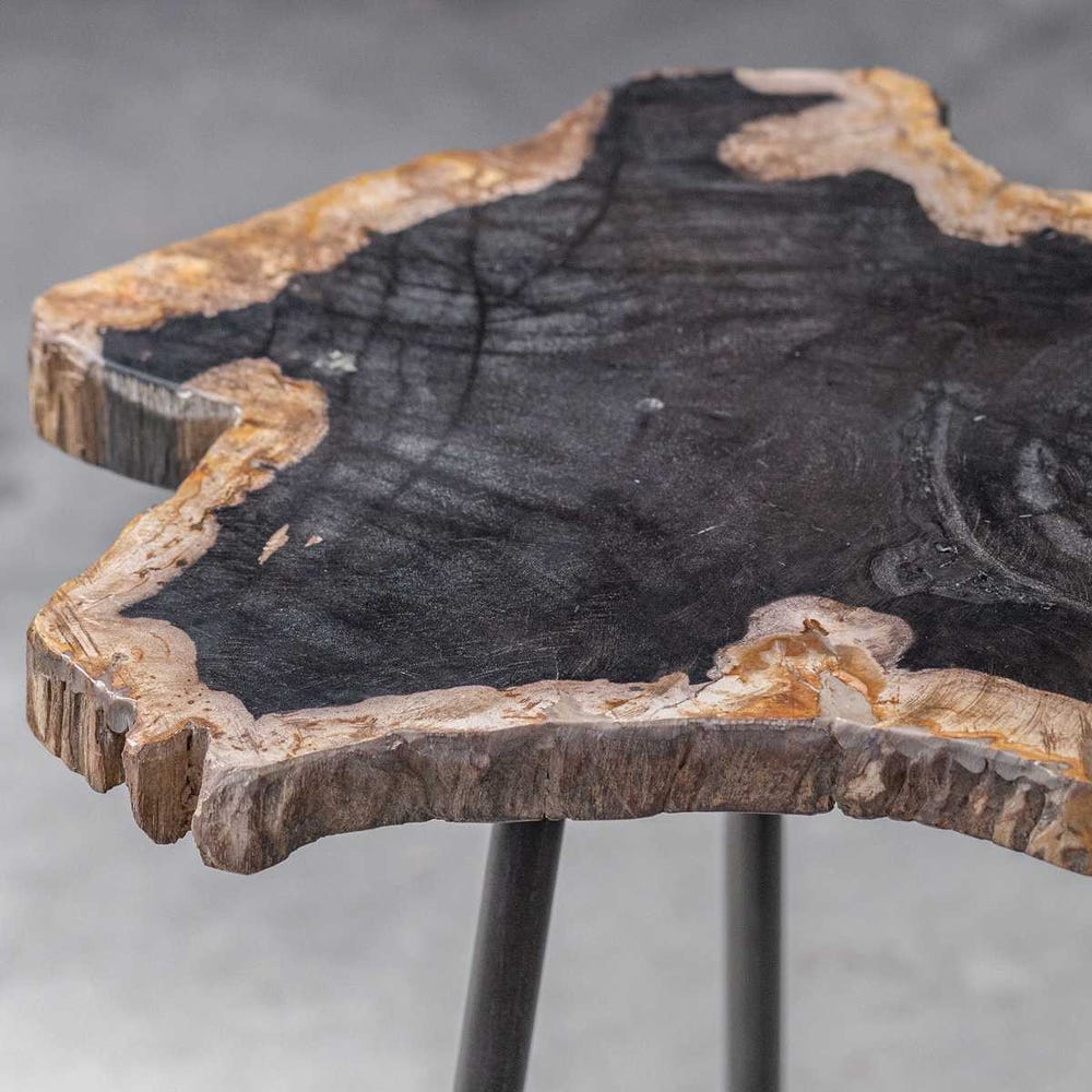 PETRIFIED WOOD END TABLE