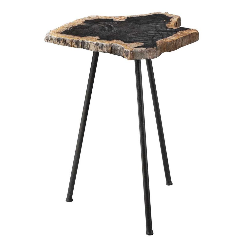 PETRIFIED WOOD END TABLE