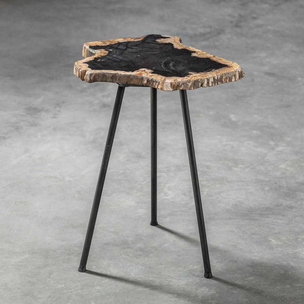 PETRIFIED WOOD END TABLE