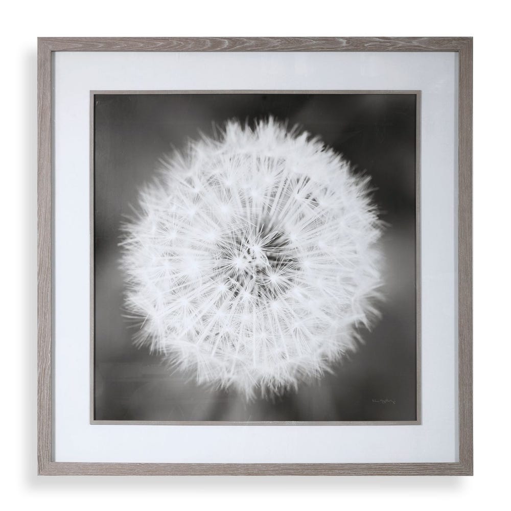 DANDELION FRAMED ART