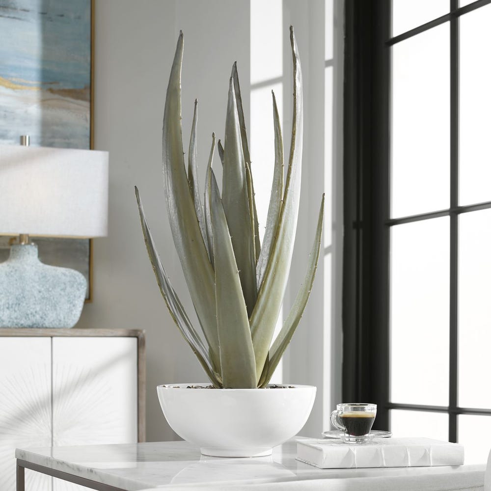 EVARAD ALOE PLANTER