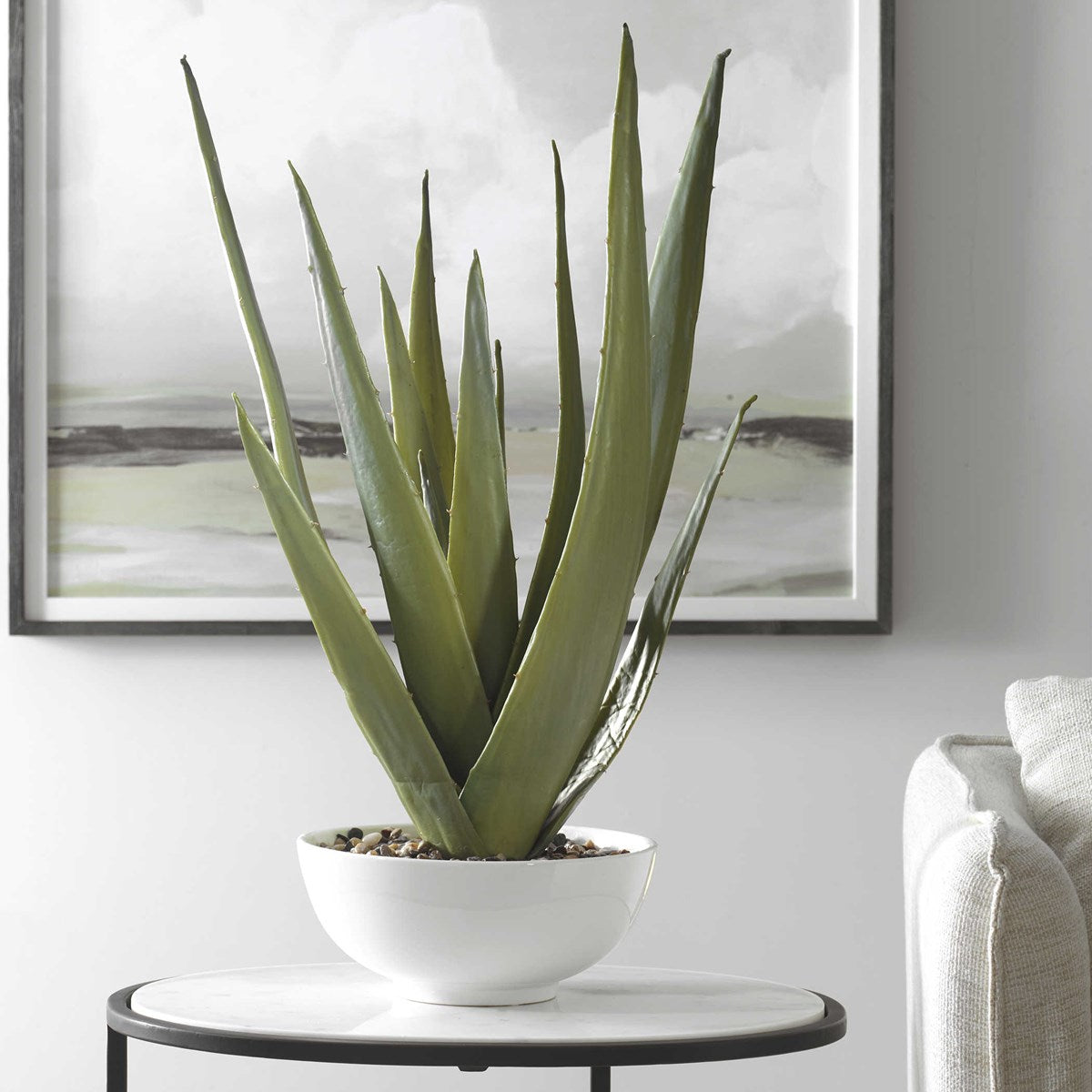 EVARAD ALOE PLANTER