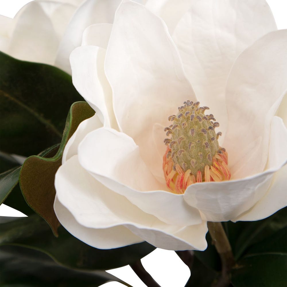 MAGNOLIA CENTERPIECE