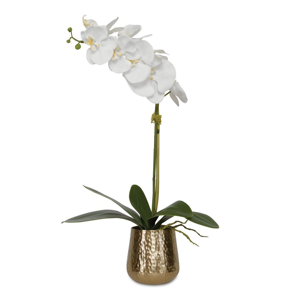 CAMILLA ORCHID BRASS