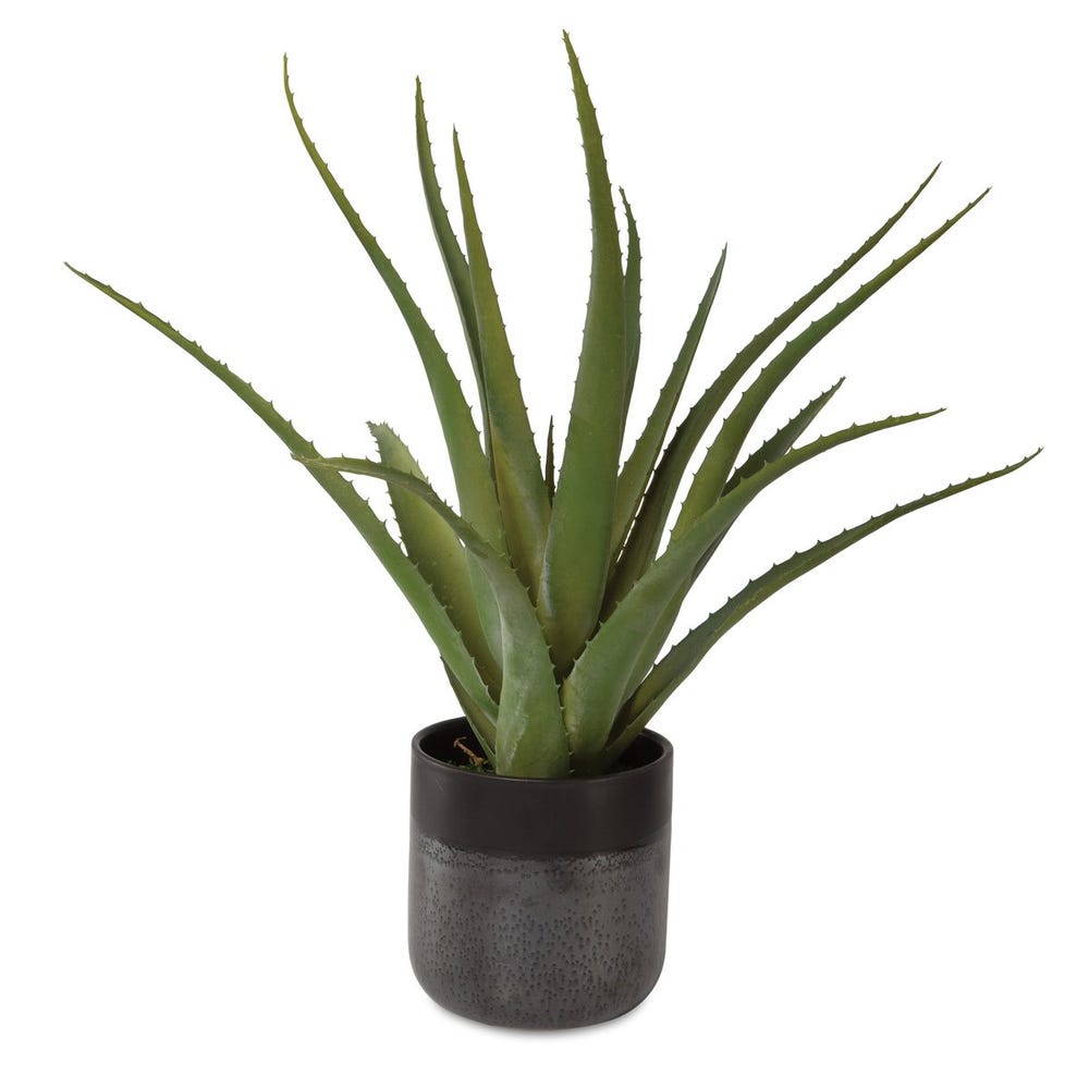 TUCKER ALOE PLANTER