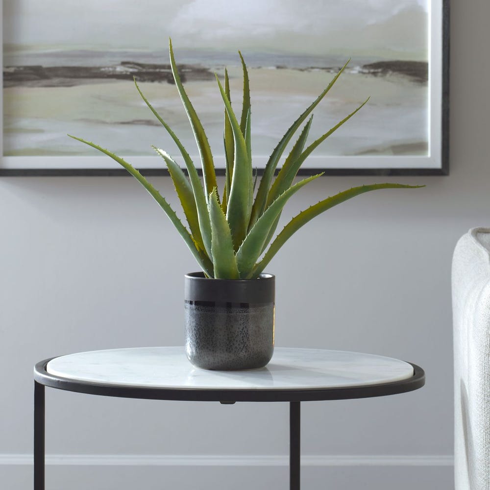 TUCKER ALOE PLANTER