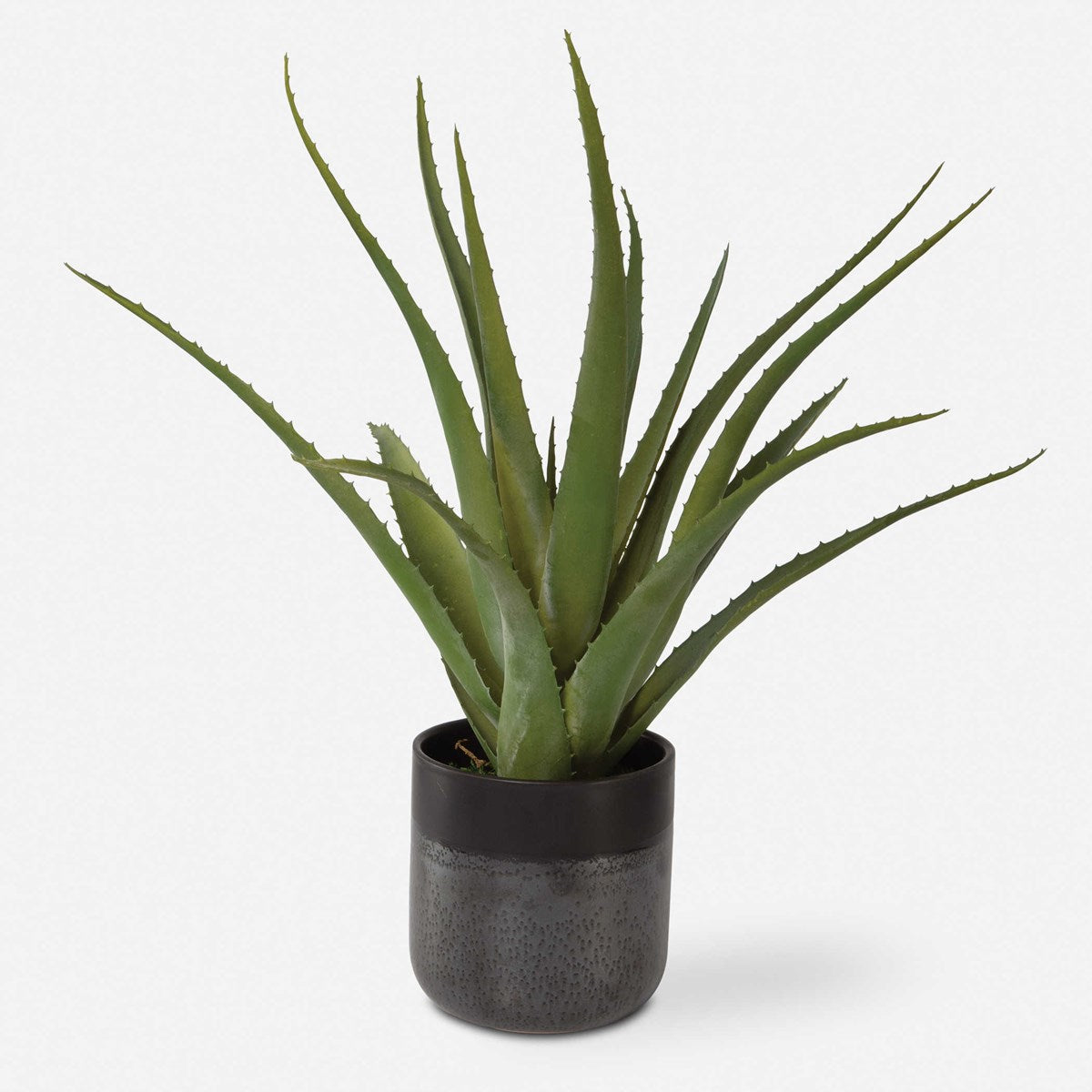 TUCKER ALOE PLANTER