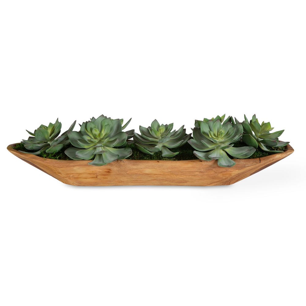 DESERT SUCCULENT CENTERPIECE