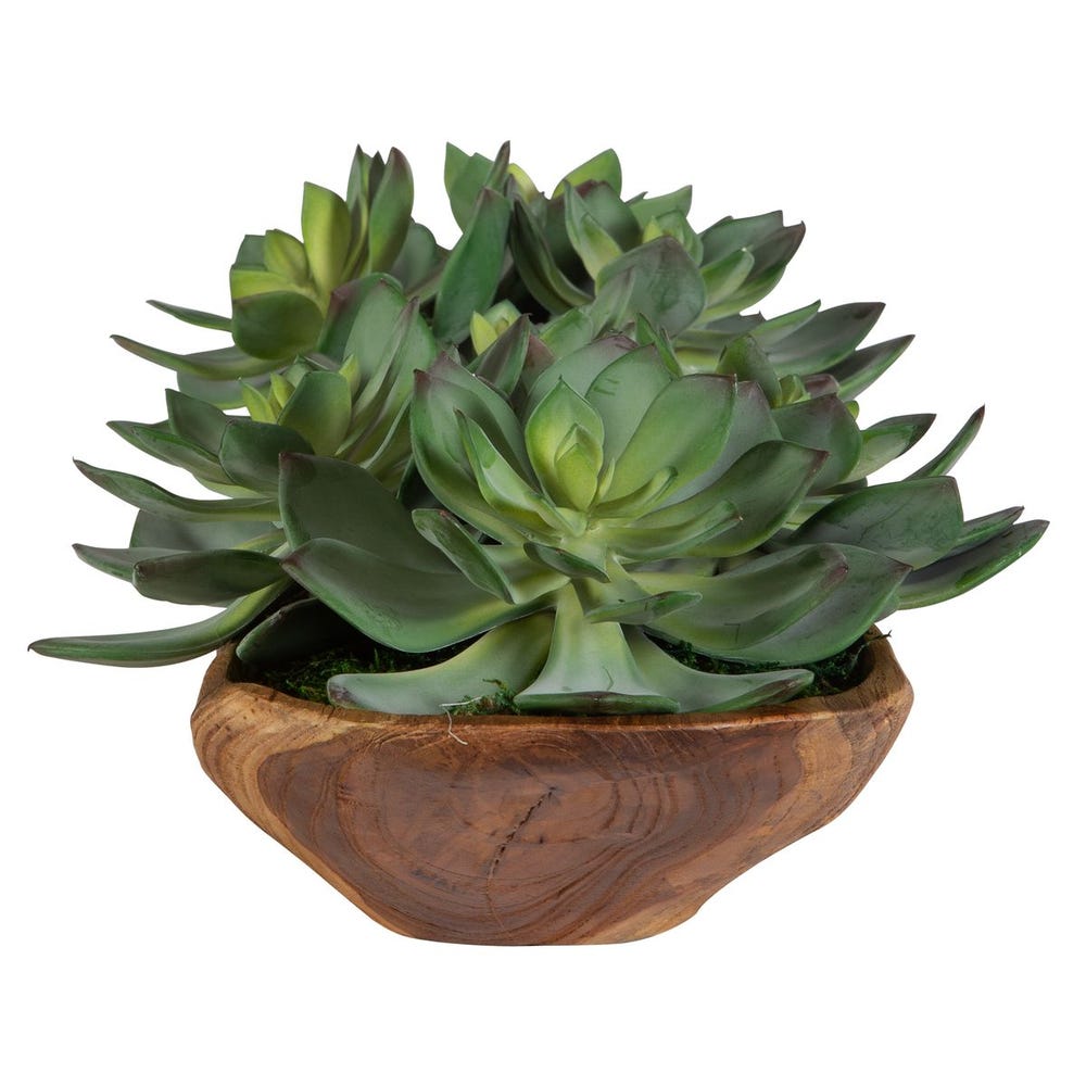 DESERT SUCCULENT CENTERPIECE