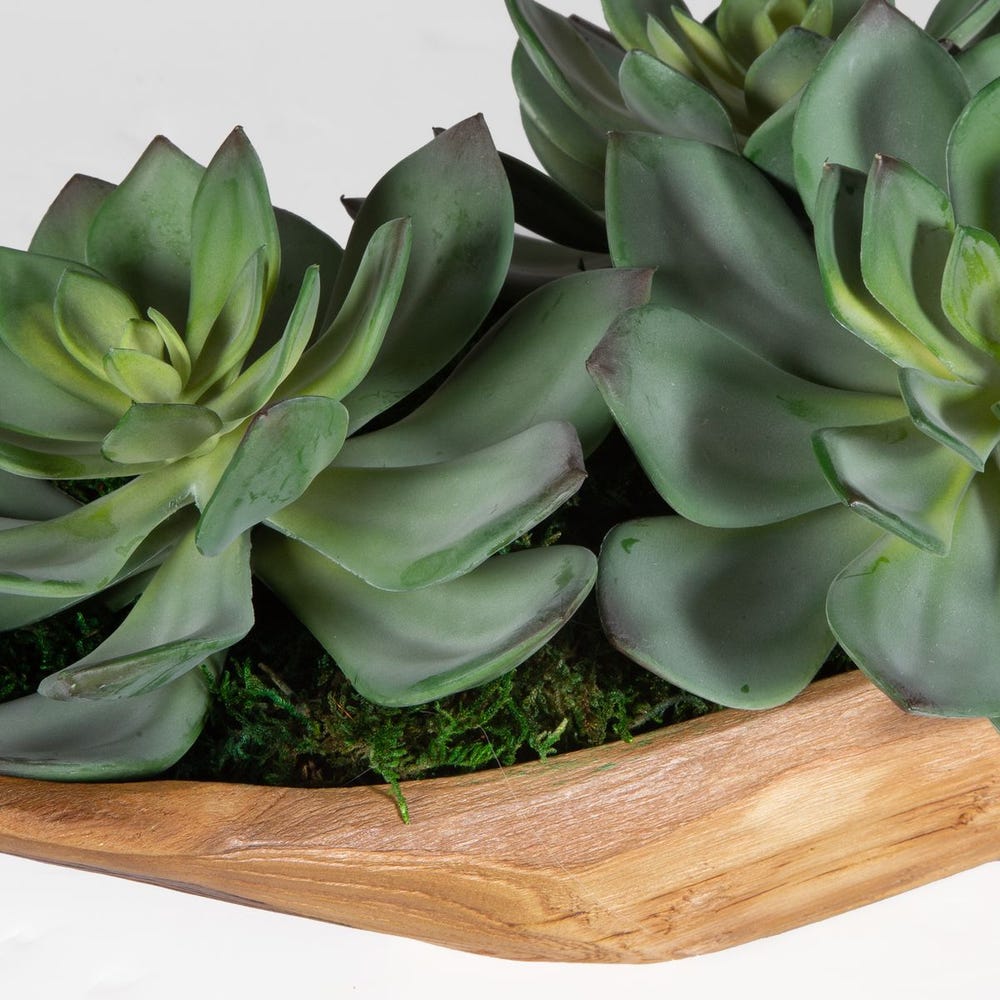 DESERT SUCCULENT CENTERPIECE