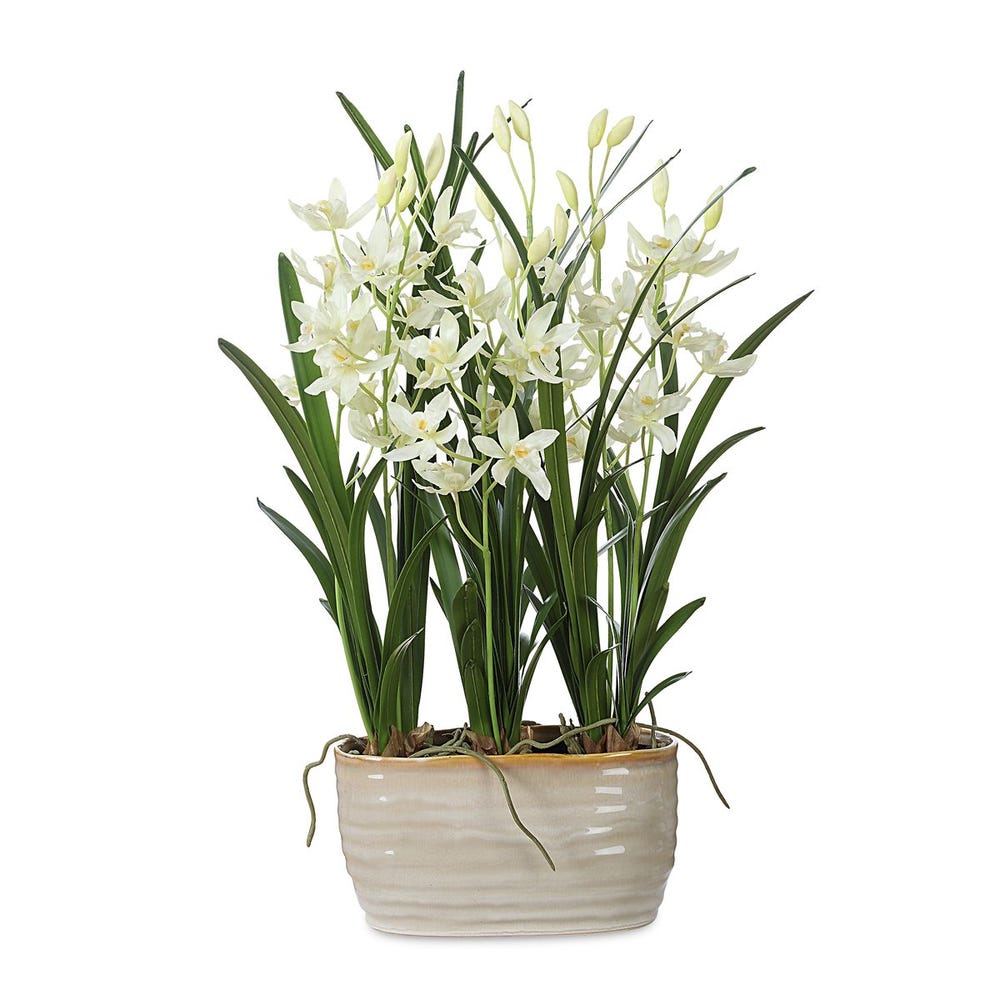 ARIANA ORCHID PLANTER