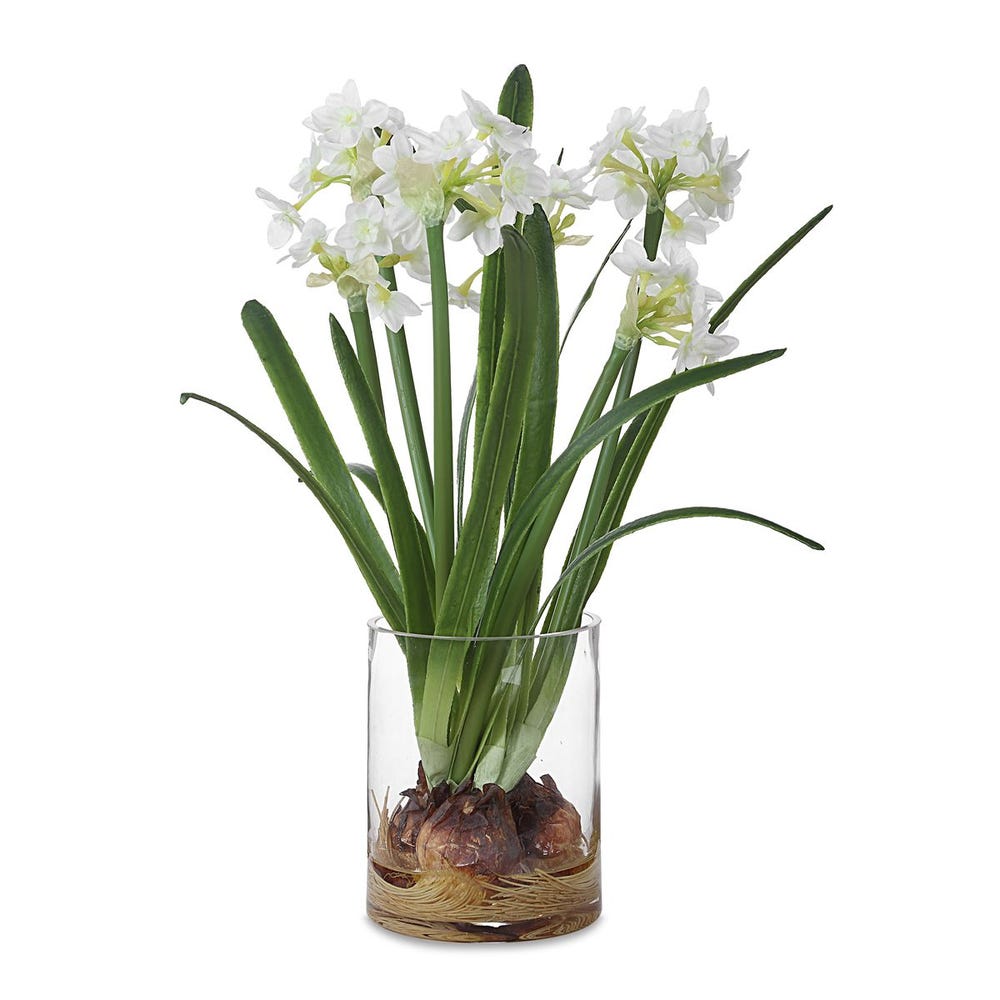 WHITE DAFFODILS IN GLASS VASE