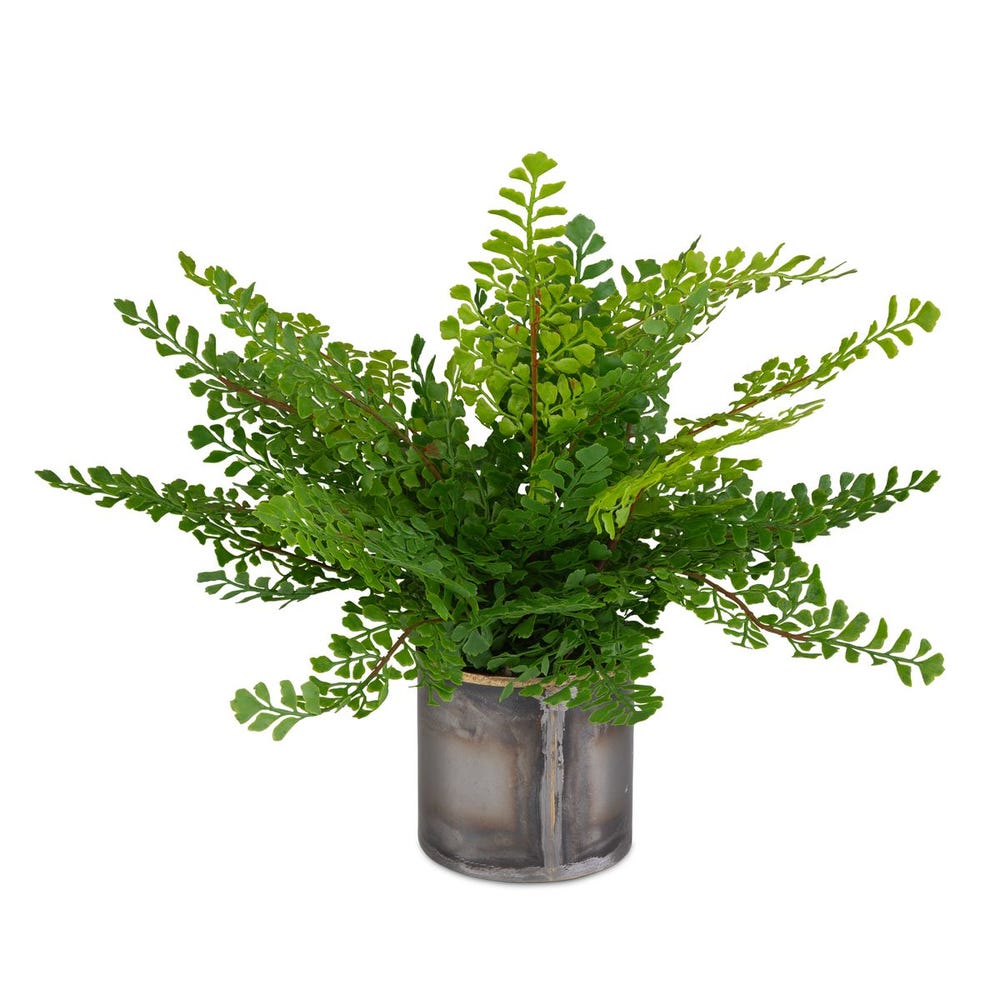 MAIDEN HAIR FERN ACCENT