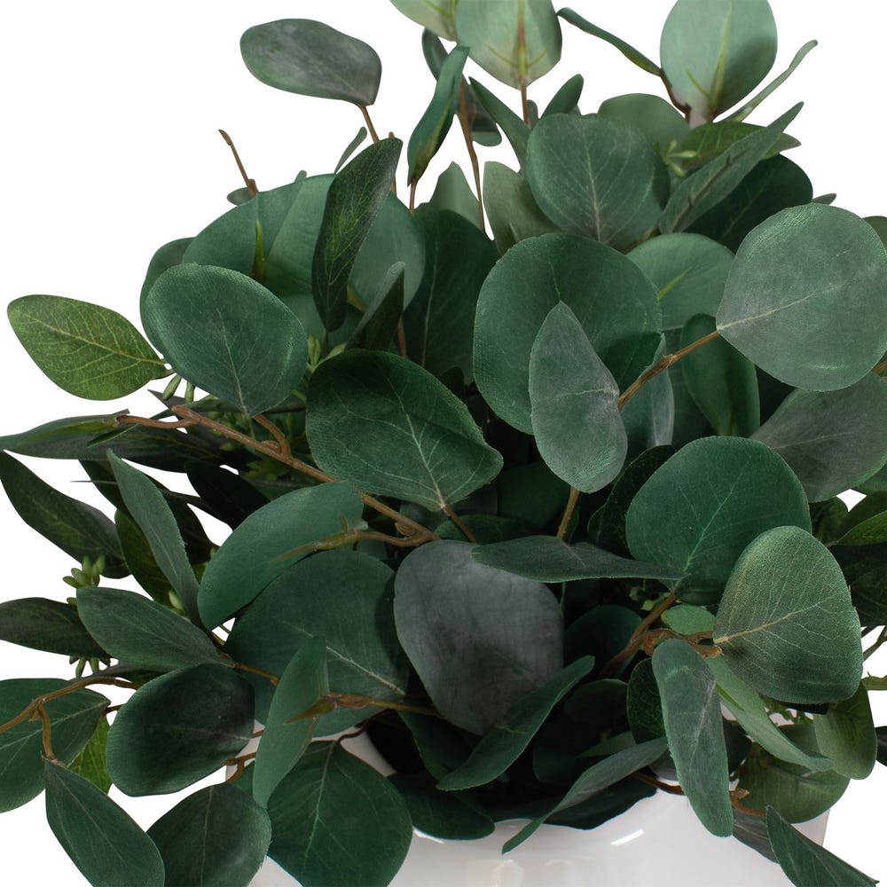 EUCALYPTUS ACCENT