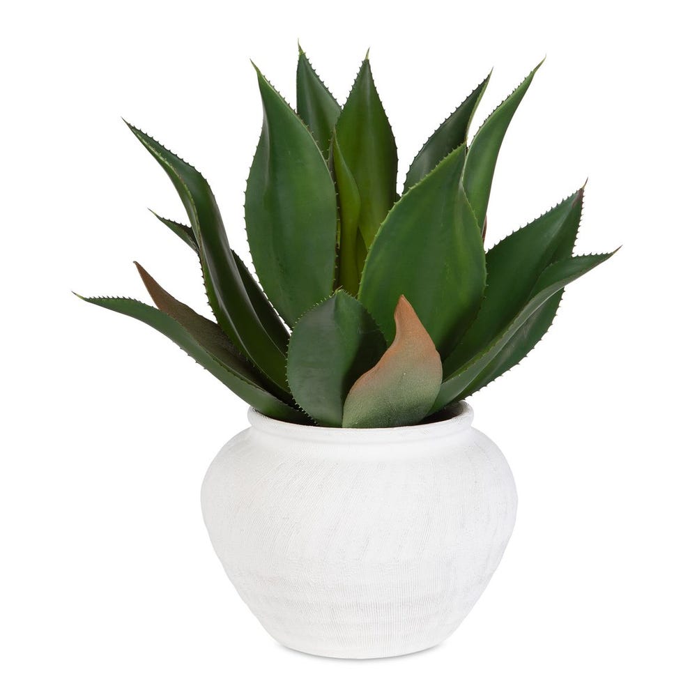 TIERRA AGAVE PLANTER