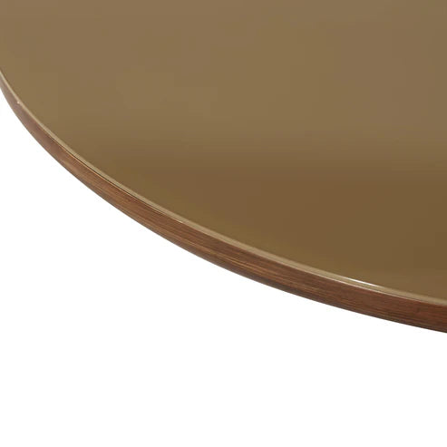 OTA WALNUT AND GLASS COFFEE TABLE