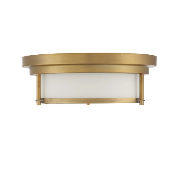 2-LIGHT CEILING LIGHT