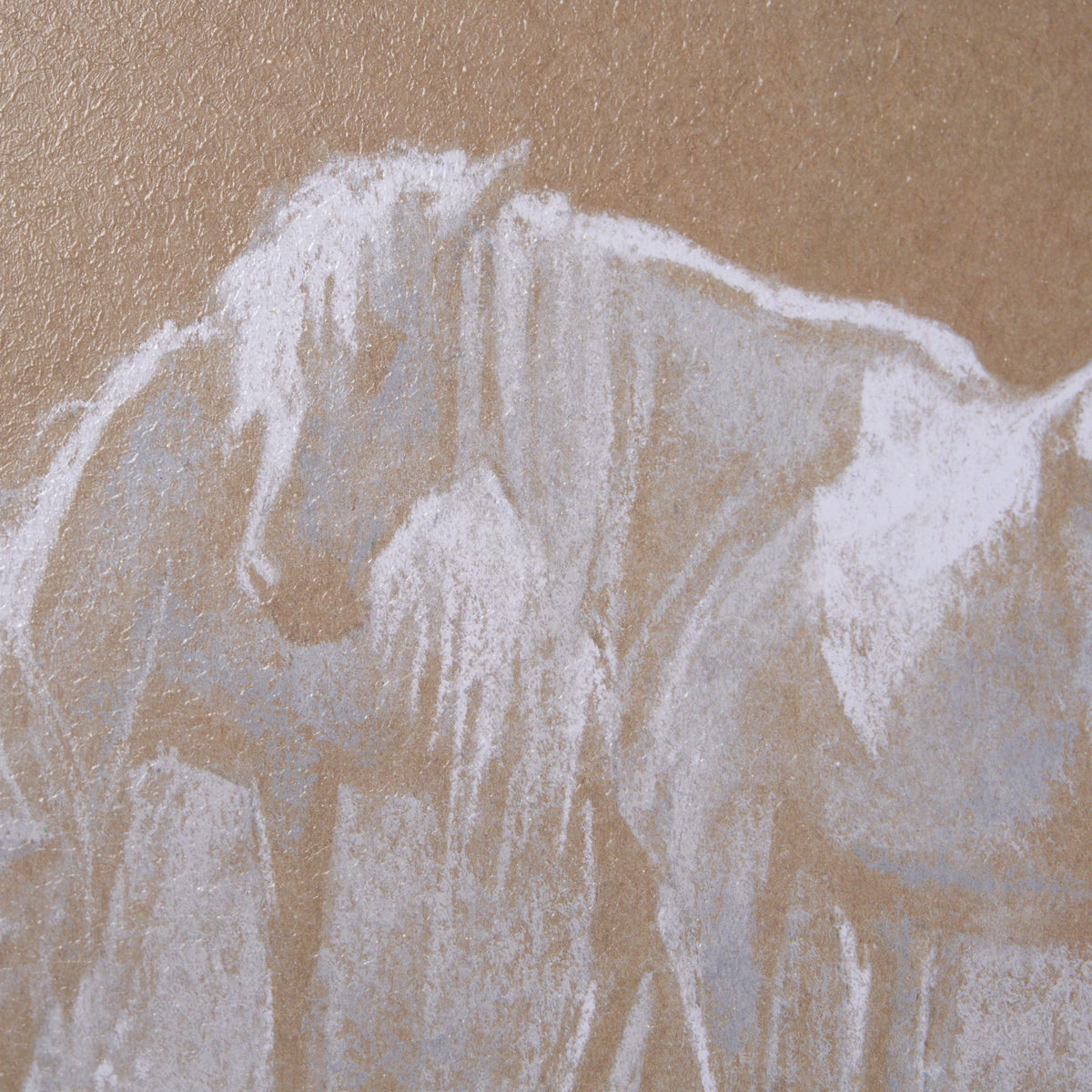 DUO I HORSES ART