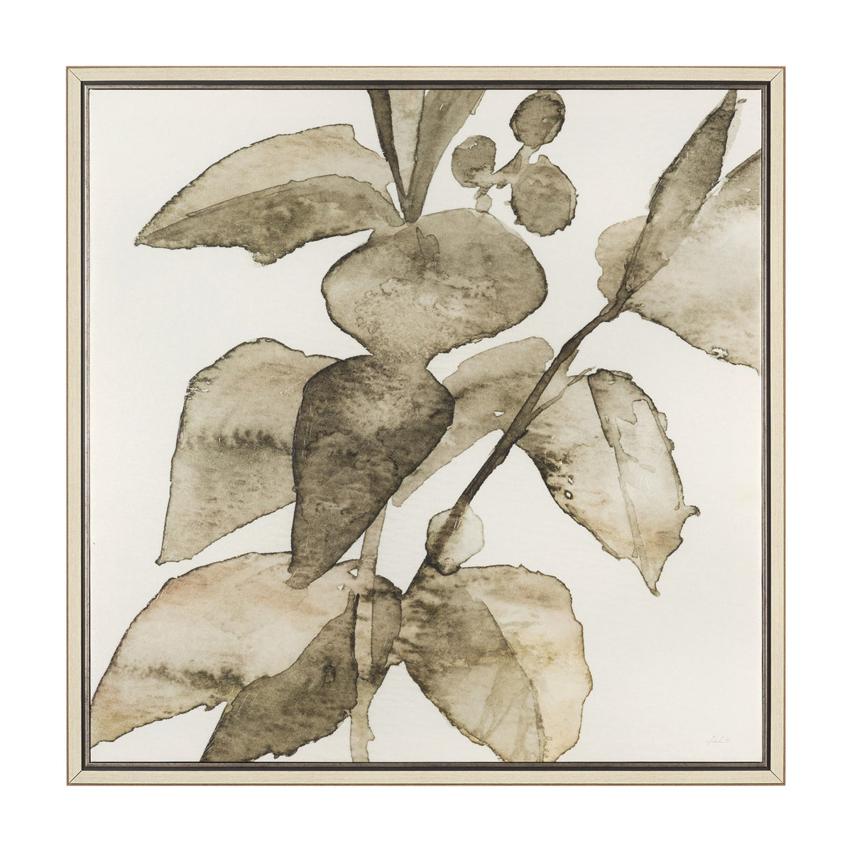 CORNUS ALBA I ART