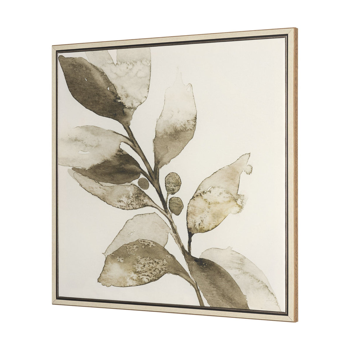 CORNUS ALBA II ART