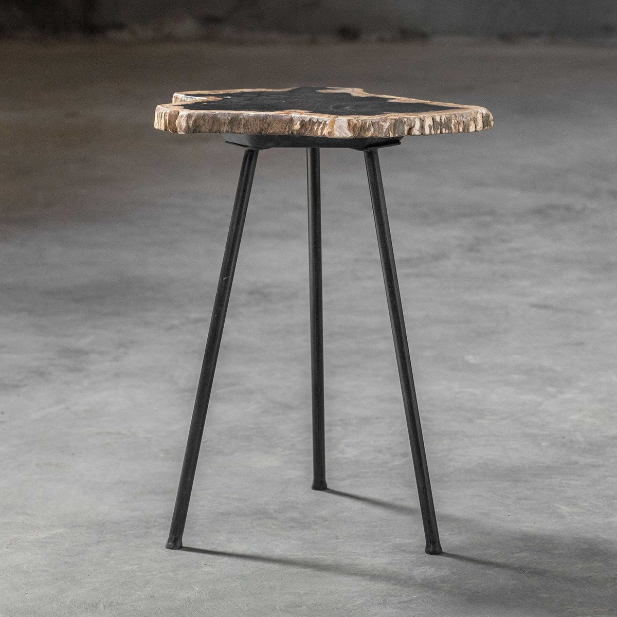 PETRIFIED WOOD END TABLE