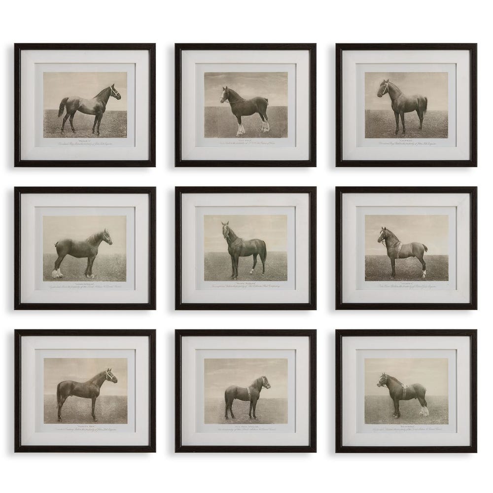 EQUINE FRAMED ART-SET OF 9