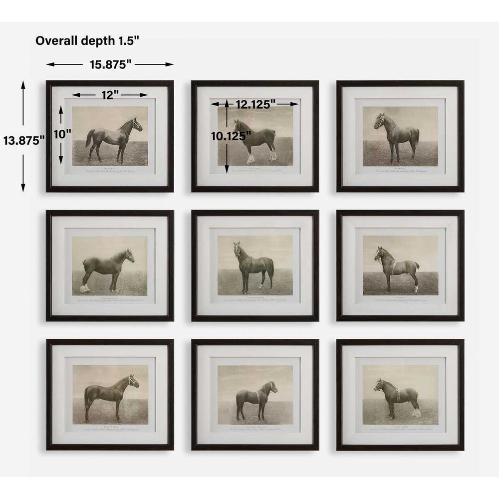 EQUINE FRAMED ART-SET OF 9