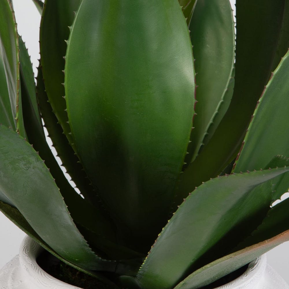 TIERRA AGAVE PLANTER