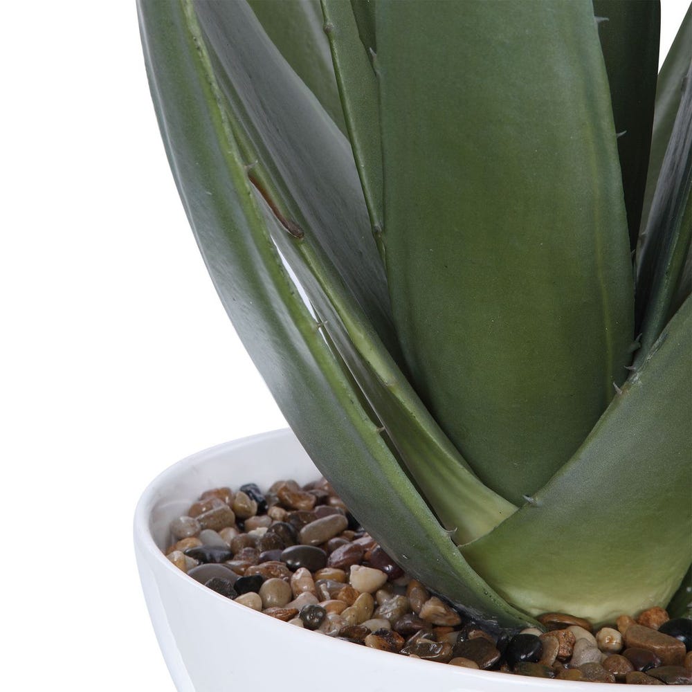 EVARAD ALOE PLANTER
