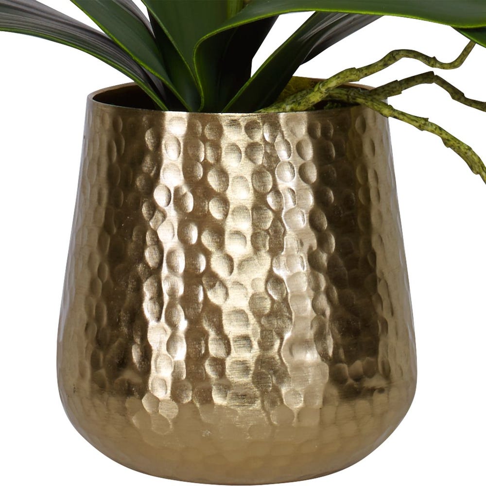 CAMILLA ORCHID BRASS