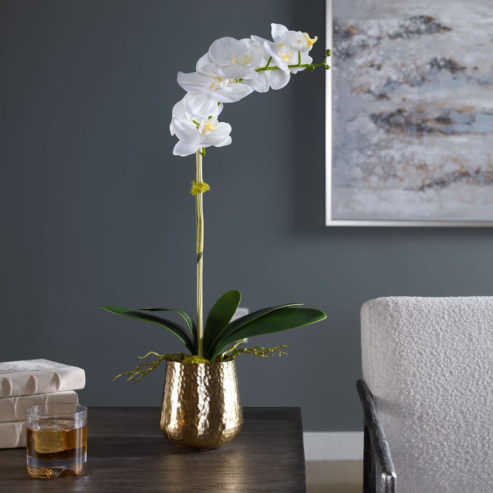 CAMILLA ORCHID BRASS