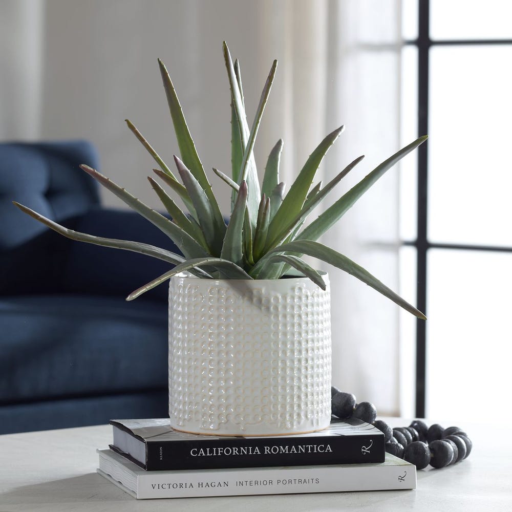 TAYLOR ALOE CENTERPIECE