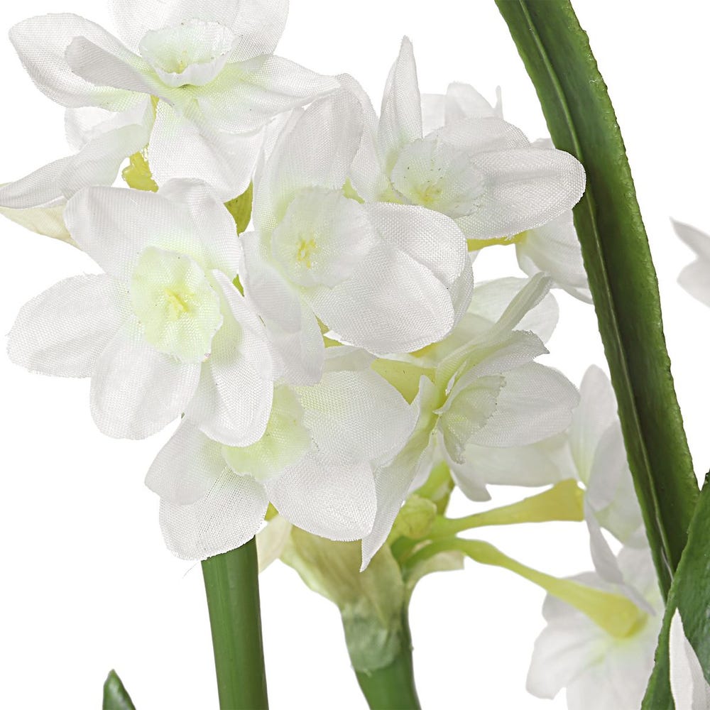 WHITE DAFFODILS IN GLASS VASE