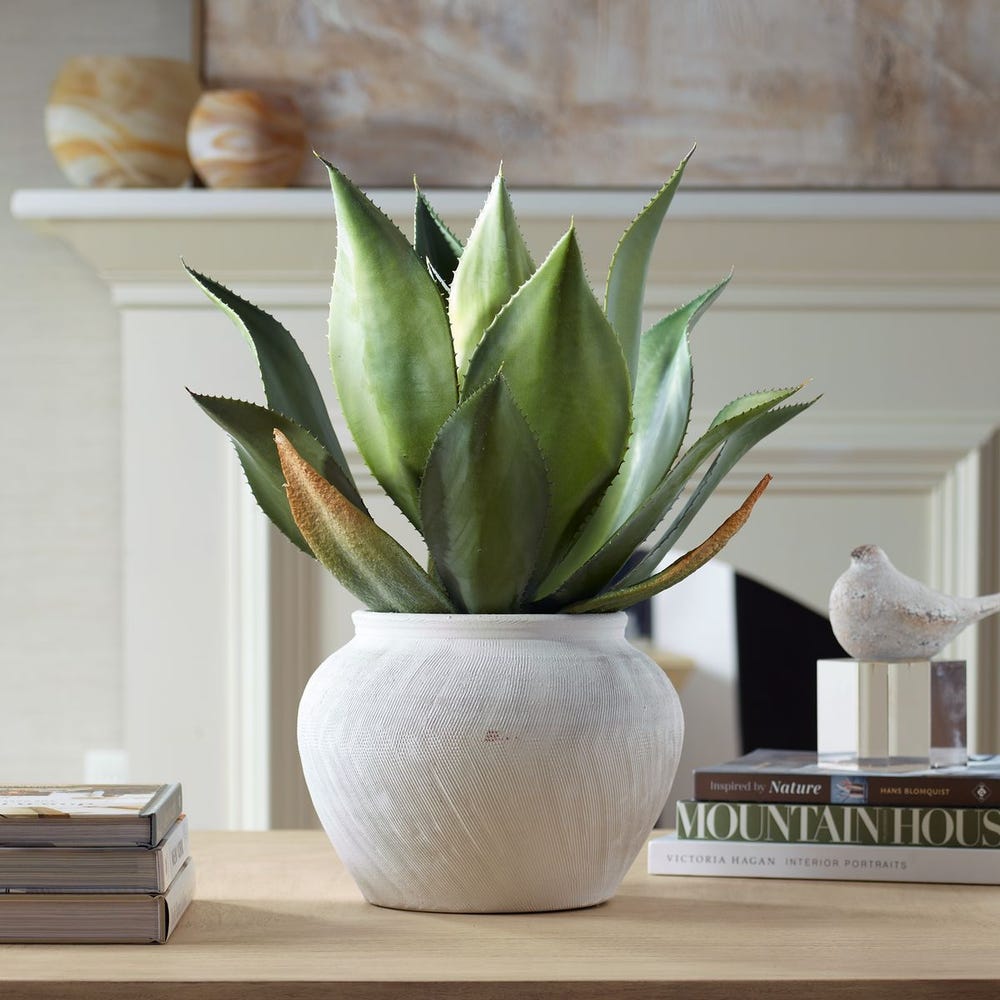 TIERRA AGAVE PLANTER
