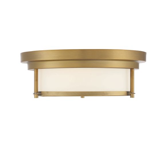 2-LIGHT CEILING LIGHT