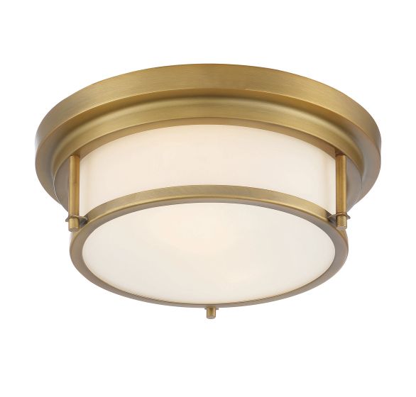 2-LIGHT CEILING LIGHT
