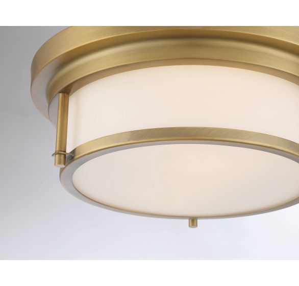 2-LIGHT CEILING LIGHT